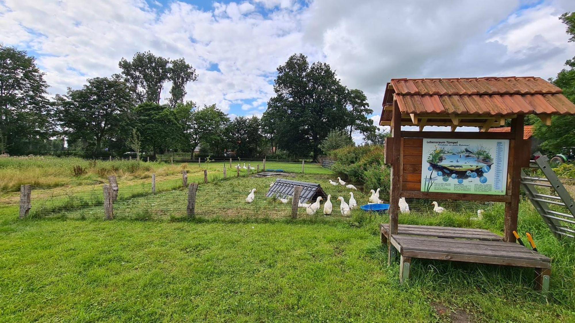 Naturhof Buschwiesen - Wohnung Lama Wilsum Екстериор снимка